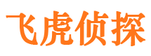 咸安市婚外情调查